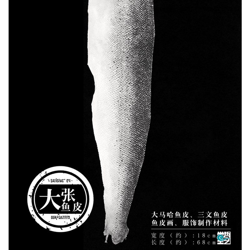 大张大马哈鱼皮 l鲑鱼皮鱼皮衣 鱼皮画原材料  全场满30包邮