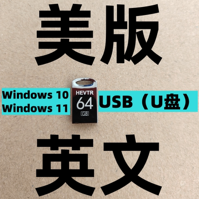 英语英文 美版Windows 10 11 Office 系统安装u盘 专业企业版LTSC
