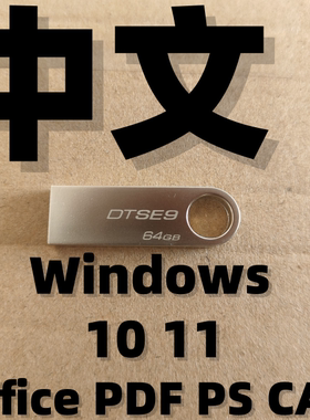 纯净版 原版中文iso系统安装版u盘 windows w11 win 10 11 w10