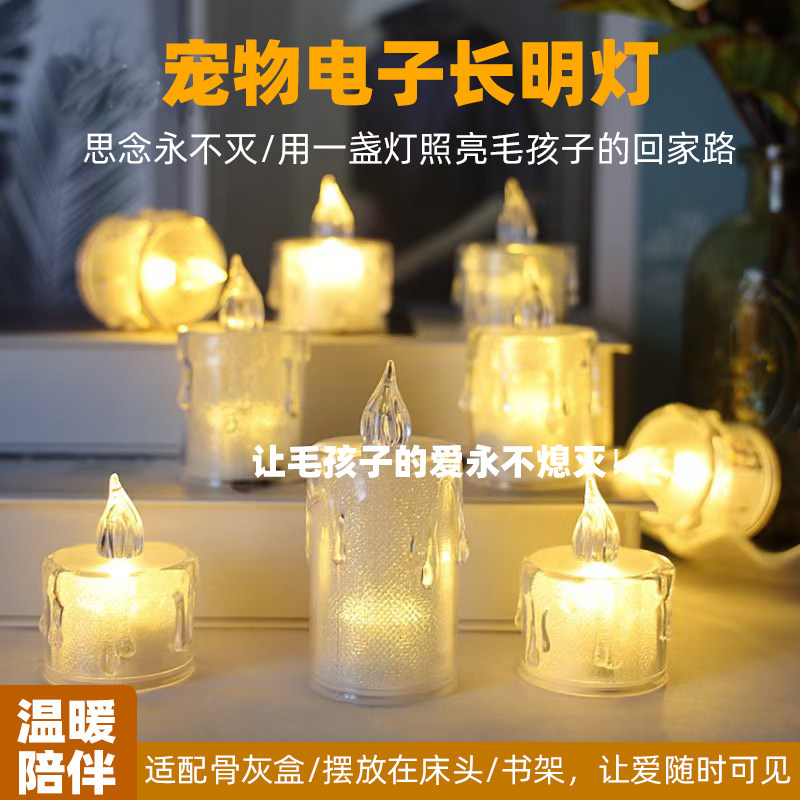 宠物电子长明灯桌面摆件毛孩子去世留念永生纪念灯狗狗小猫咪礼物