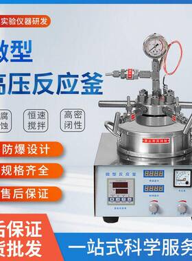 50ml100ml200ml磁力耦合机械搅拌压反应釜微型磁力压反应釜