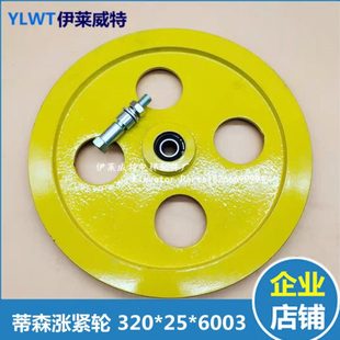 涨紧轮 6205 蒂森涨紧轮 厚25 6003涨紧轮 直径320 电梯配件