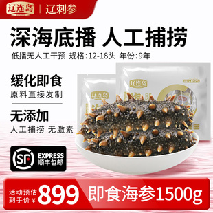 辽连岛底播海参大连辽刺参野外生长1500g独立包装12-18头超大个