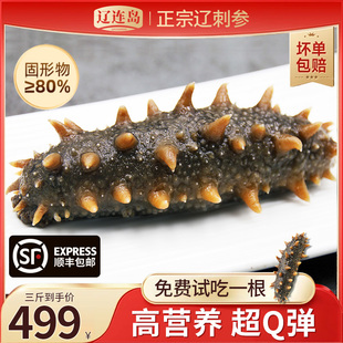 辽宁岛大连即食海参非干 干货底播海参1500克独立包装3斤36-50头