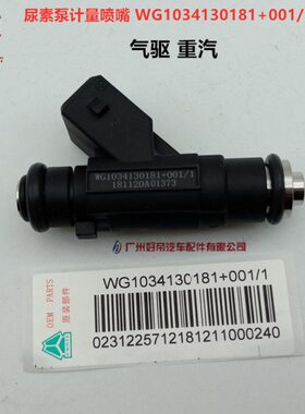 尿素泵计量喷嘴 WG1034130181+001/1 2插 气驱 重汽 原厂