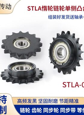 4带 45台链轮单B轴承A10LAB涨紧边轮替代62A08ST轮钢100链条C惰