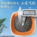 国标钢丸钢砂钢丝切丸不锈钢丸抛丸机钢丸抛丸喷砂合金强化铸钢丸