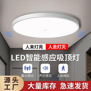 LED感应灯吸顶灯楼梯过道灯楼道走廊灯红外人体雷达灯智能声控灯