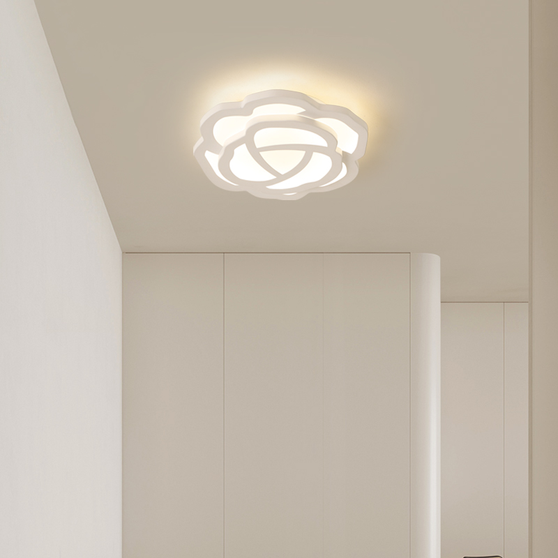 走廊走道灯现代简约大气温馨玫瑰衣帽间小吸顶灯入户门厅玄关灯具