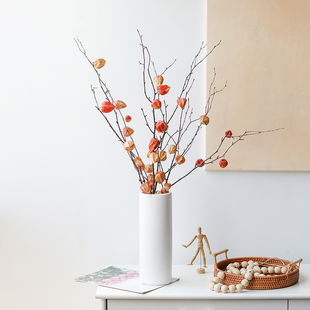 天然酸浆果灯笼果乾花高级感桦树枝树干装饰客厅摆件室内布景软装