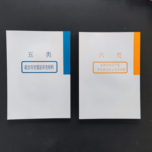 装少字干部人事档案十大类分类纸隔页纸索引纸克分页纸