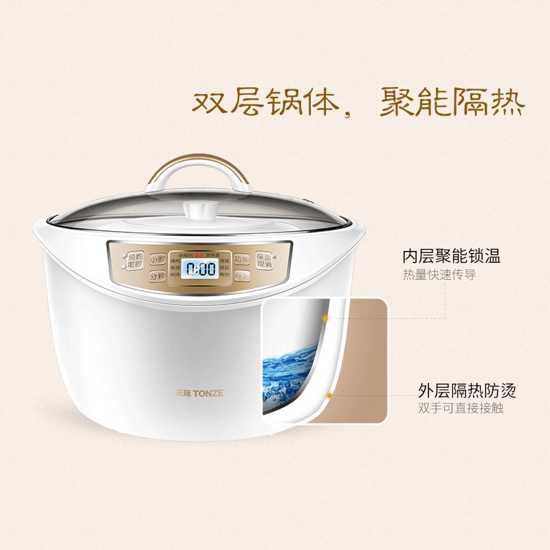 天际隔水电炖盅陶瓷燕窝电炖锅全自动白瓷家用煮粥煲汤锅一锅五胆