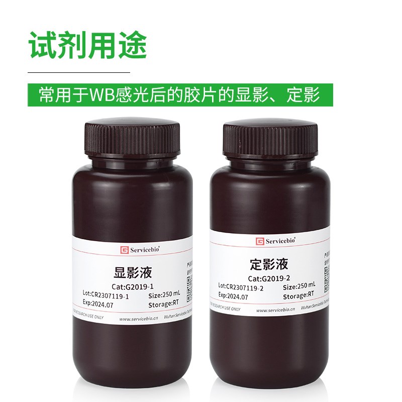 赛维尔 显影定影试剂盒显影液定影液 WB胶片曝光 科研试剂2x