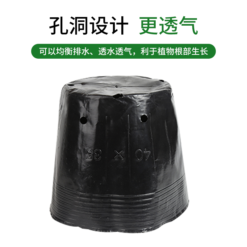 营养钵育苗盆营养杯育苗杯育苗盆塑料花盆黑色营养杯加厚