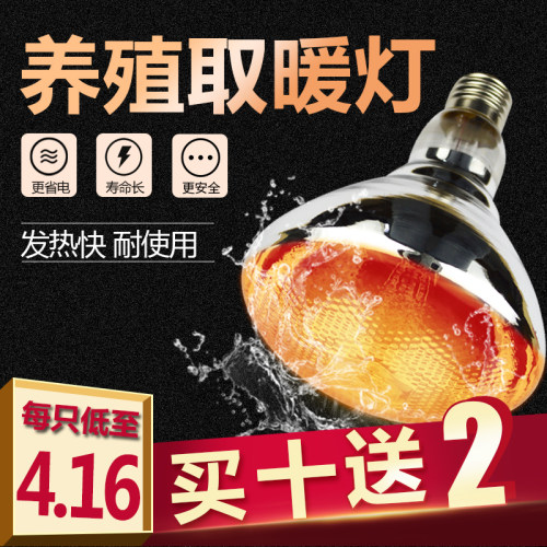 育雏保温灯调温度发热灯取暖灯泡温控养殖猪用烤灯灯泡加热灯泡