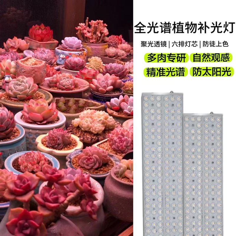 知三月全光谱LED聚光透镜自然光多肉防徒上色控型家用室内补光灯