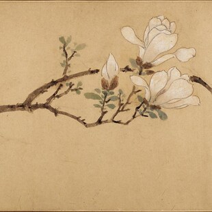 明文徵明白玉兰图卷鸟画微喷仿古复制品新装饰画卷轴挂画