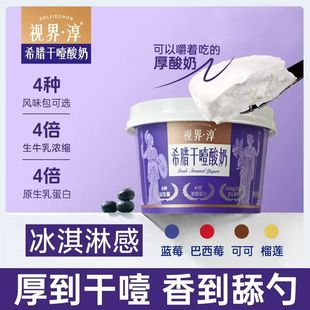 视界淳蓝莓干噎酸奶官方旗舰店正品 干巴干酪希腊杨枝甘露酸奶低温