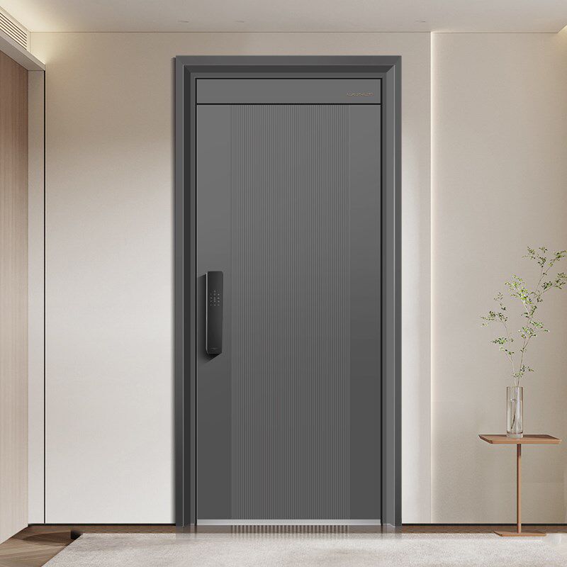 王力防盗门进户门大门门年新款防盗门