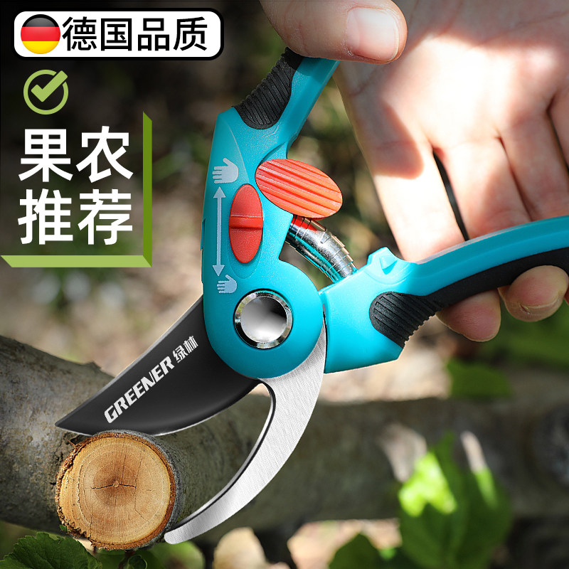 修枝剪园艺剪剪树枝果树专用剪刀修枝花卉果木葡萄剪子工具大全