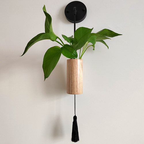 创意壁挂水培瓶器皿家居民宿挂墙装饰木质工艺器