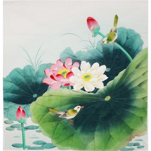手工无款工笔画纯手绘鸟牡丹荷国画没题款装饰画没落款