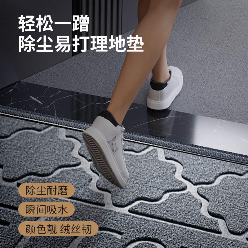 2024新款地垫入m户门垫高级感大门口进门家用脚垫门外耐脏防滑地