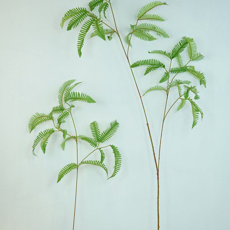 芒萁蕨仿真绿植大枝蕨叶大型落地装饰蕨类墙配材园林造景