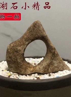 太湖石小天然微景观石盆景菖蒲盆造景附石假山英石