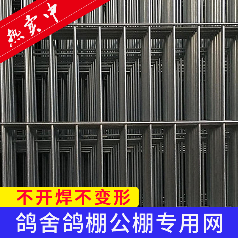 鸽舍专用镀锌铁丝网加粗围栏鸟笼家用养殖网网格镀锌网片