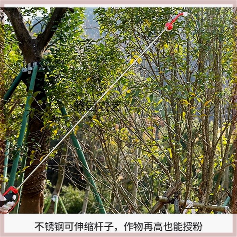 新款果树花粉授粉器 桃树梨树猕猴桃西红柿番茄杆式点花授粉器