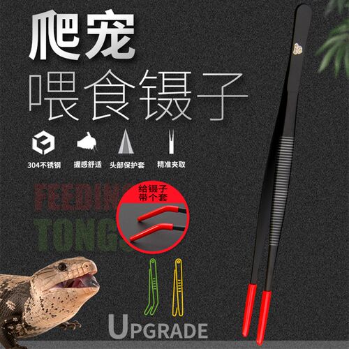 爬宠喂食弯镊子乌龟鱼缸雷龙六角守宫角蛙鼠宠物防咬伤硅胶