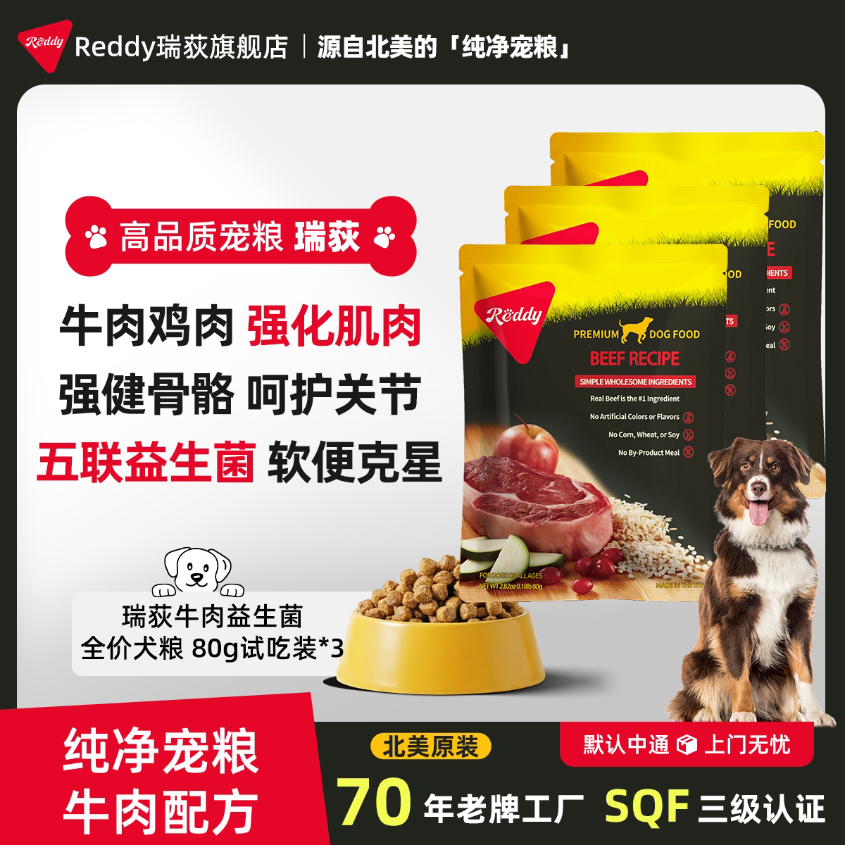 Reddy瑞荻北美进口犬粮80g*3试吃装牛肉益生菌强化肌肉改善软便