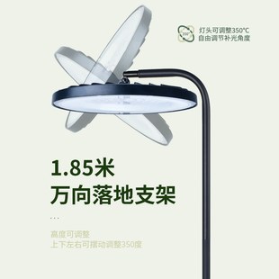 光合作用室内家用多肉补光灯 仿太阳全光谱ld卉绿植生长灯