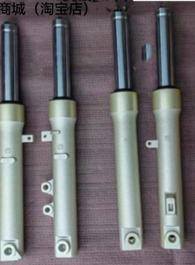 适用新大洲本田DIO U+迪奥SDH125T-35-38前叉避震NS125D前减震器