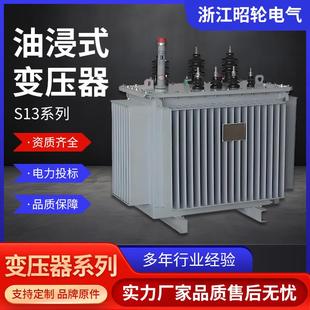800油浸式 S13 500 电力变压器10kv高压三相配电变压器厂家 250