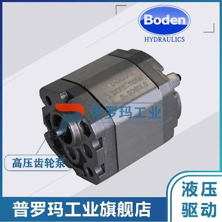 齿轮泵BKP0.5B0D0.75/1.00/1.25/1.75/2.00GOLO-BQ0B1A0