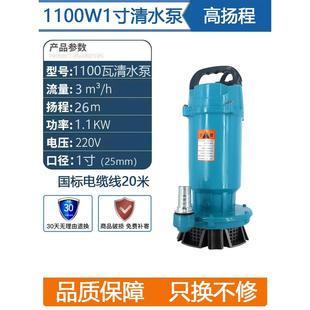 潜水泵220V水泵家用小型井水抽水泵高扬程大流量农用灌溉排污水泵