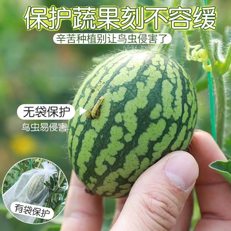 水果套袋防鸟防虫专用网袋葡萄无花果瓜果番石榴橙子杨桃保护袋子
