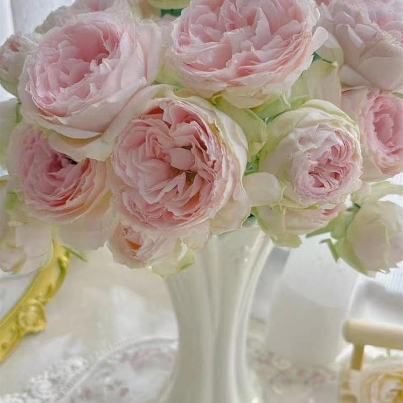 采购产品牙齿,半海花瓶,珍珠釉,水培花,欧洲陶瓷装饰品,插花装置