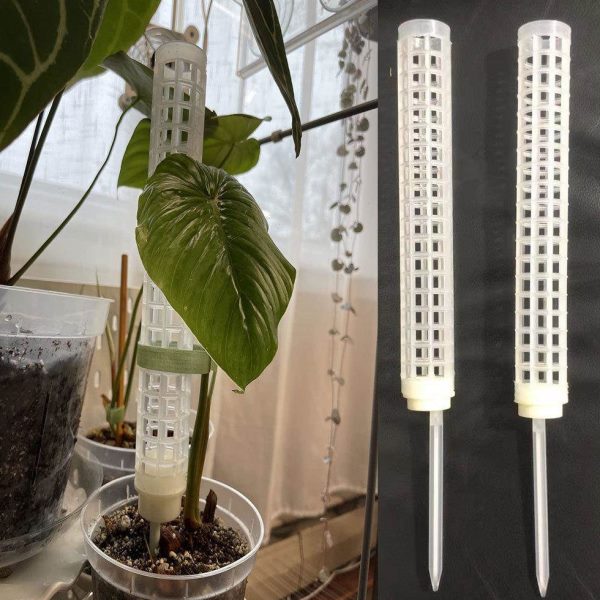 龟背竹攀爬植物网绿柱柱爬藤苔蔓柱柱绿箩爬藤代子攀附水哥二柱绒