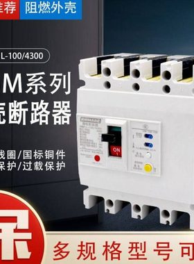 NM1 RMM1LE-225A 100A 160A 250A400A塑壳断路器三相四线漏电开关