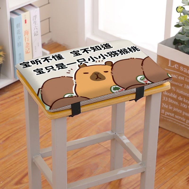 卡皮巴拉学生坐垫教室方形椅垫课桌椅垫防P滑地垫加厚加高屁垫