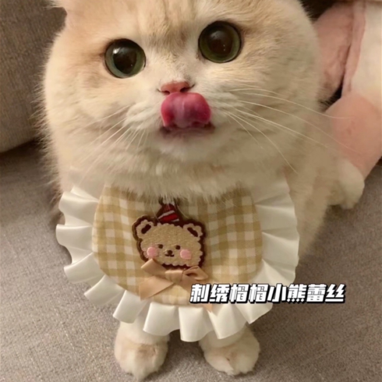 宠物口水巾猫咪围兜狗狗蕾丝围脖手工装饰品布艺项圈可爱拍照布偶
