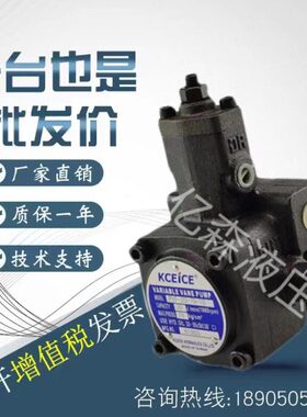 55151240/EIC-S70//科圣KC30平键/10VF-20E花台湾/-/35叶片泵P键