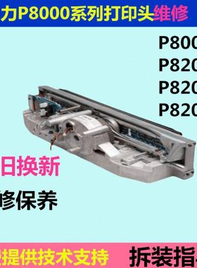 普印力P8000H打印头P8203HP8003HP8206HP8208H打印头打印锤维修