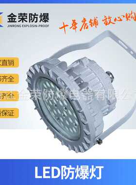 源头直销 ip65金荣LED防爆投光灯 车间照明免维护圆形防爆LED灯