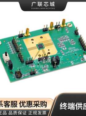 EVALXDPP1100Q024DBTOBO1 XDPP1100 嵌入式 平台评估扩展板 全新