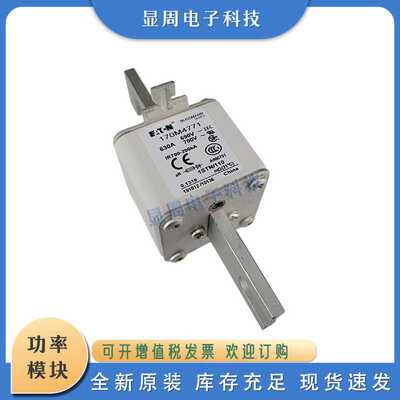 熔断器170M4747 4758 4759 4760 4761 4762 4763 4764 4765 4766