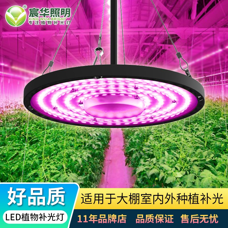 全光谱植物生长灯室内LED多肉补光灯大棚温室种植火龙果蔬菜育苗